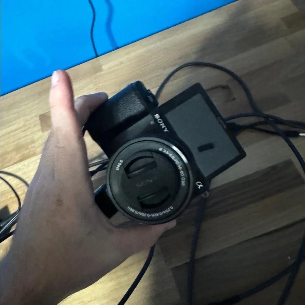 Sony Black Mirrorless Camera with Flip-Out LCD
